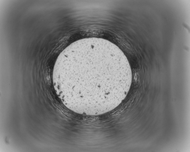 X0000097820771200804111015