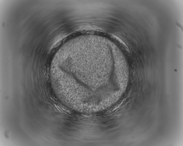 X0000097820775200804111015