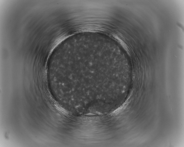 X0000097820779200804111014