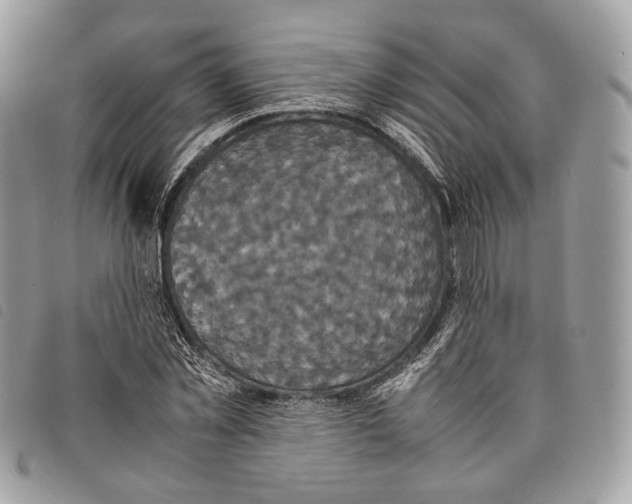 X0000097820781200804111014