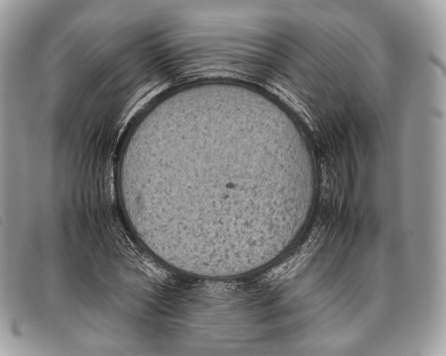 X0000097820782200804111014