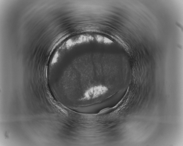 X0000097820790200804111014