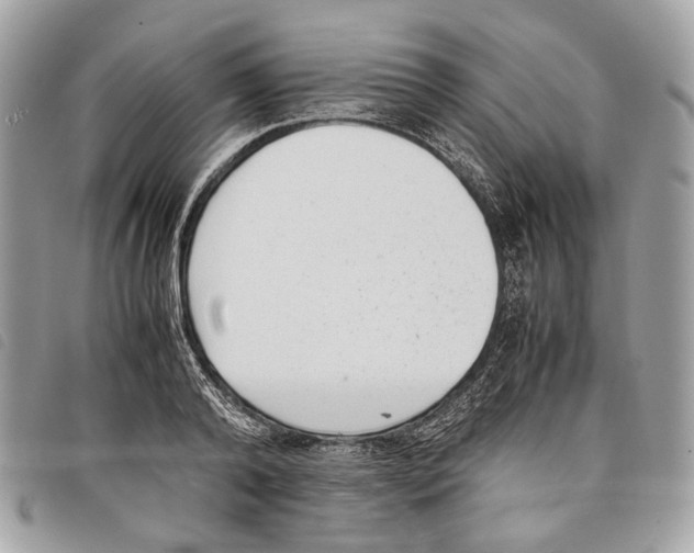 X0000097820792200804111014