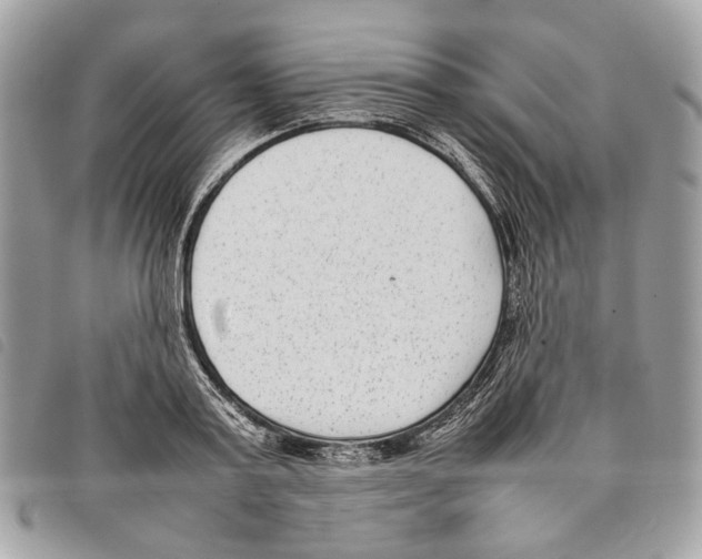 X0000097820795200804111014