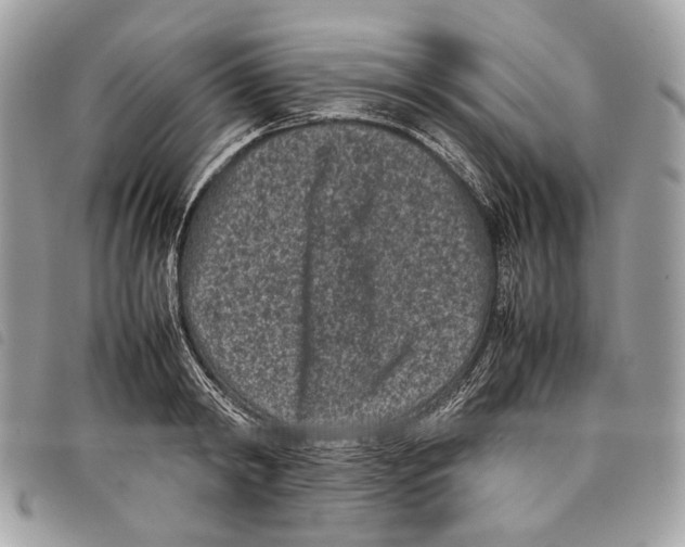 X0000097820798200804111014