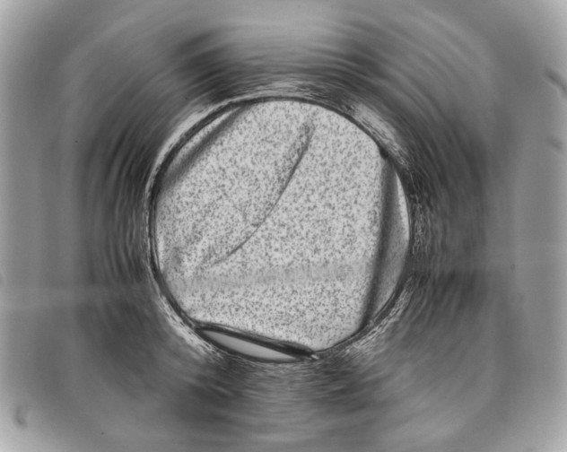 X0000097820800200804111014