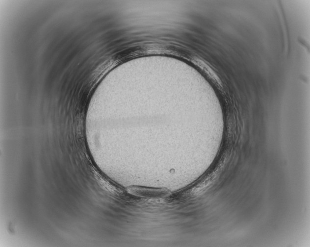 X0000097820801200804111014