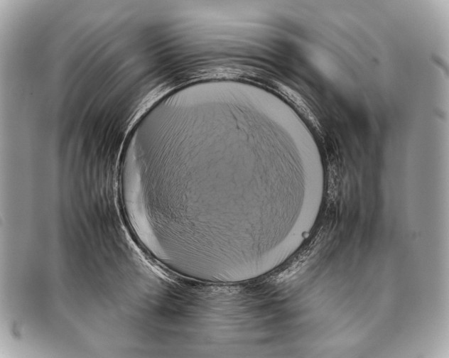 X0000097820802200804111014