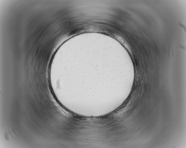 X0000097820803200804111014