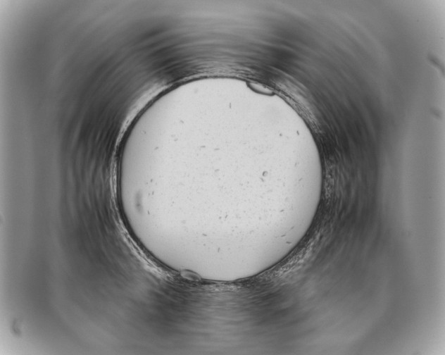 X0000097820804200804111014