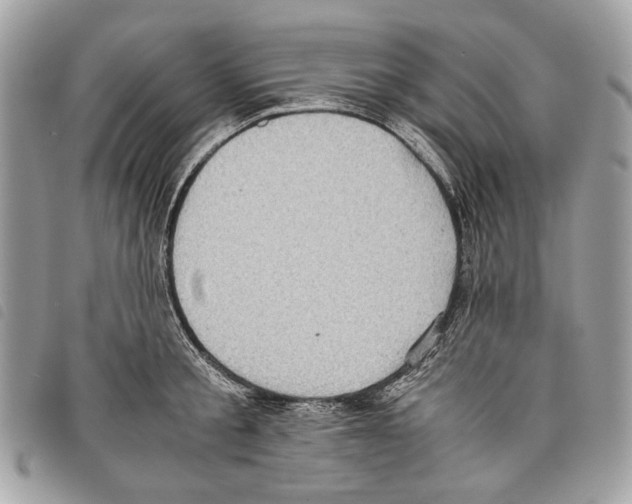 X0000097820805200804111014