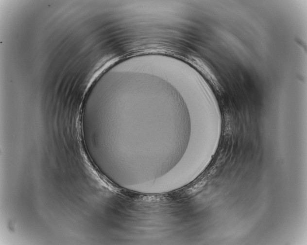 X0000097820806200804111014