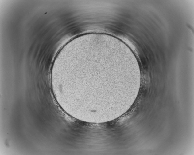 X0000097820807200804111014