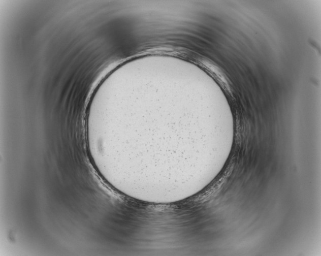 X0000097820808200804111014