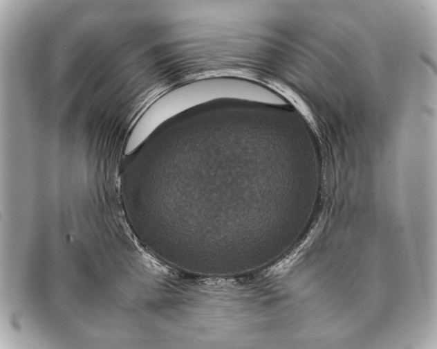 X0000097820809200804111014