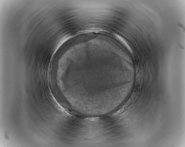 X0000097820810200804111014