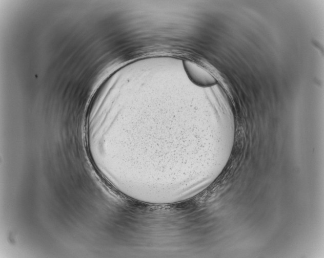 X0000097820811200804111014