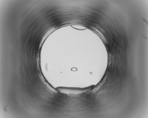 X0000097820812200804111014