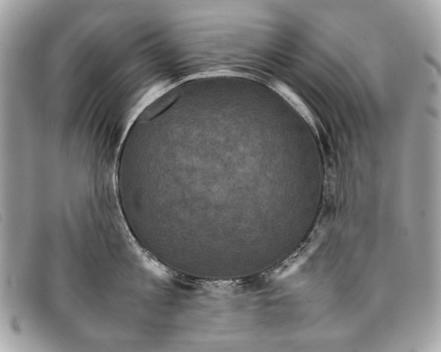 X0000097820813200804111014