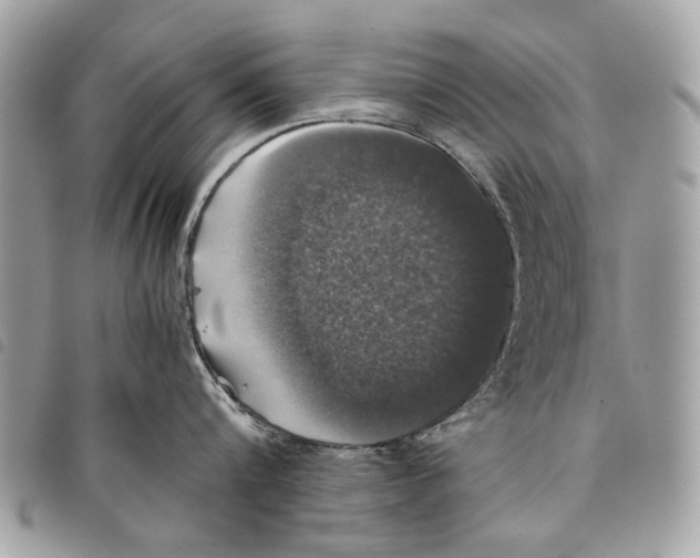 X0000097820816200804111014