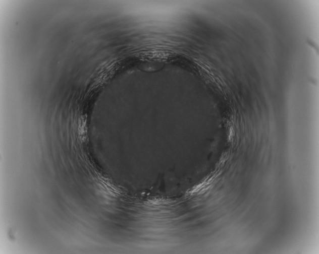 X0000097820818200804111013