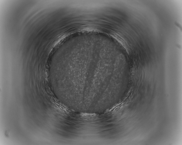 X0000097820823200804111013