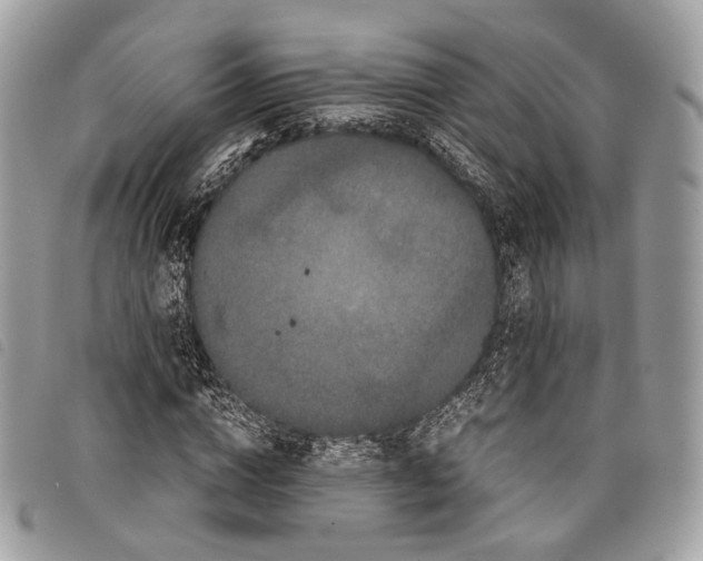 X0000097820824200804111013