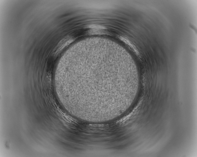 X0000097820825200804111013