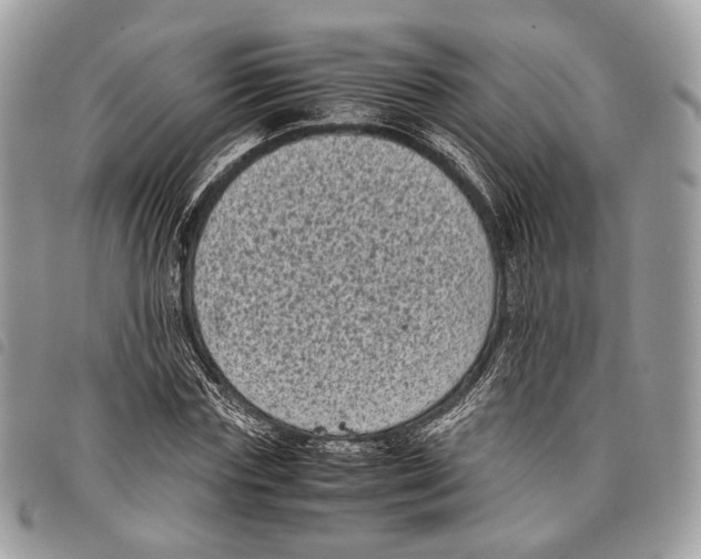 X0000097820827200804111013