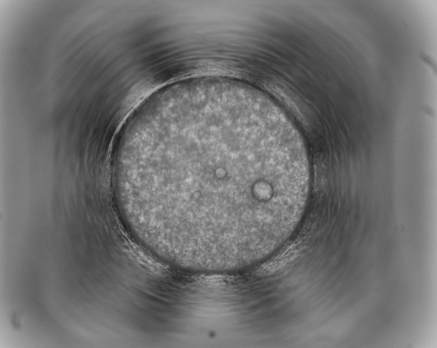 X0000097820828200804111013