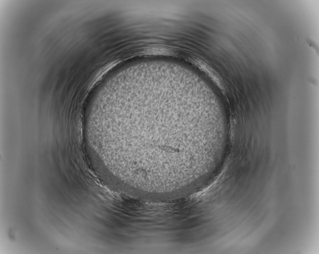 X0000097820829200804111013