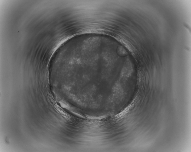 X0000097820830200804111013