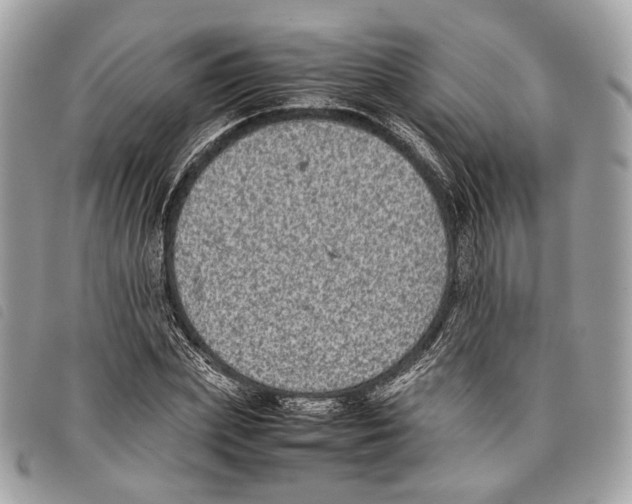 X0000097820831200804111013