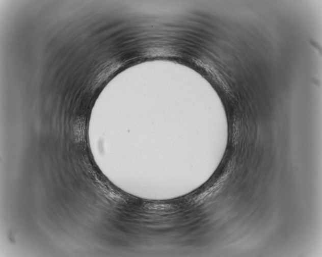 X0000097820833200804111013