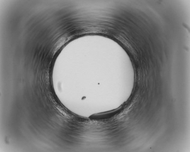 X0000097820834200804111013