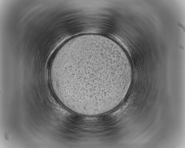 X0000097820835200804111014