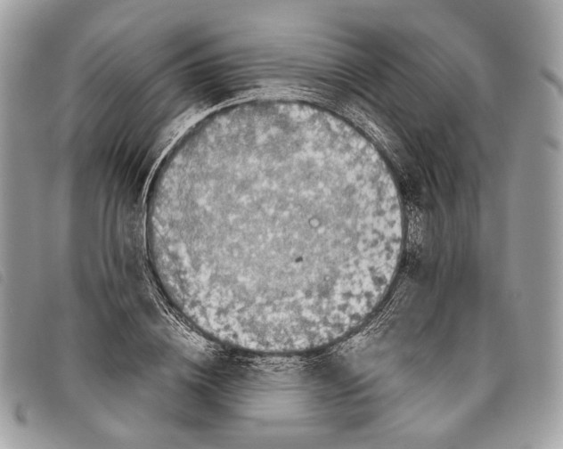 X0000097820836200804111014