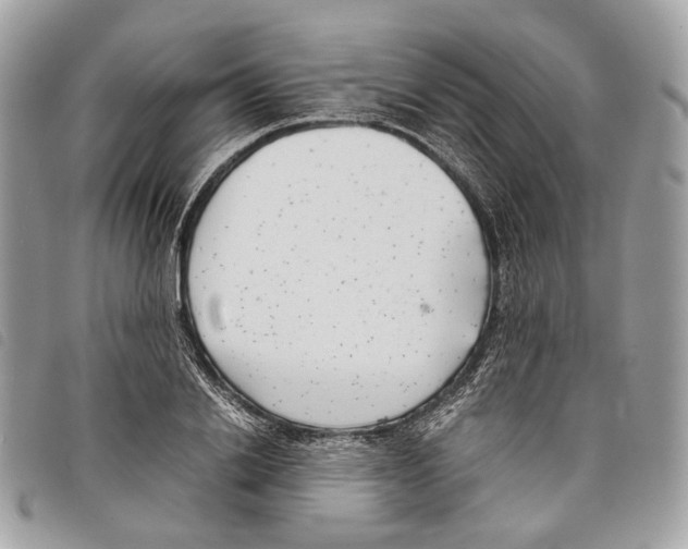 X0000097820838200804111014