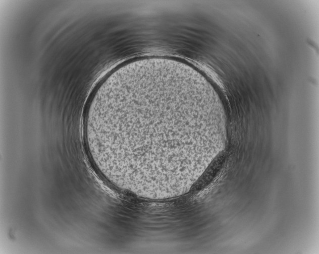 X0000097820839200804111014