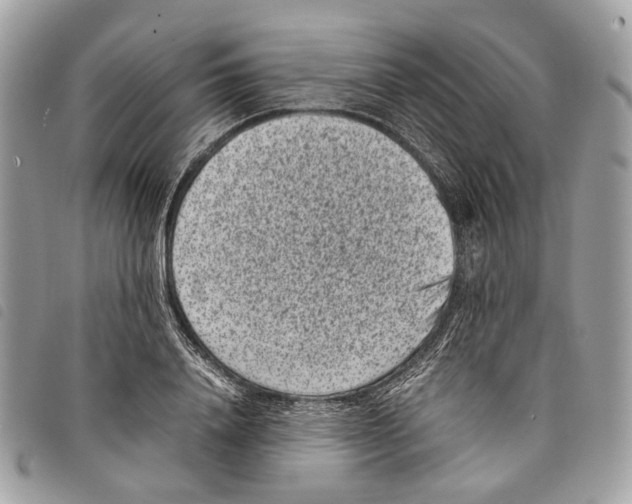 X0000097820840200804111014