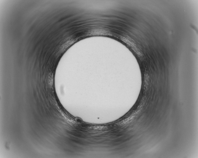 X0000097820841200804111014