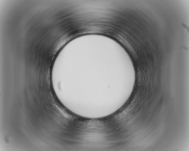 X0000097820842200804111014