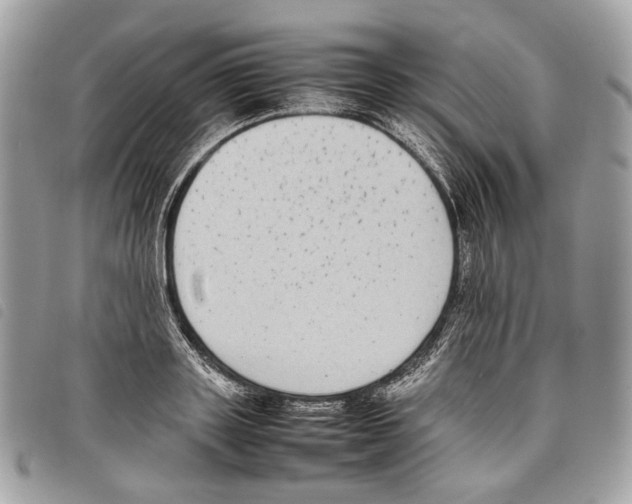 X0000097820843200804111014