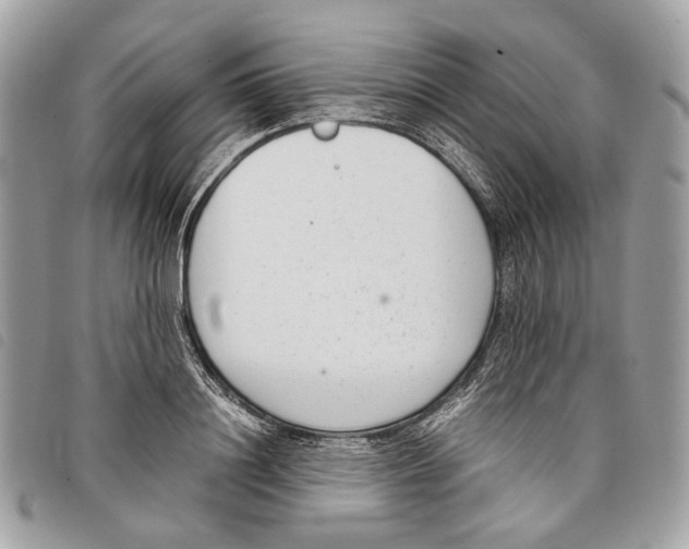 X0000097820844200804111014