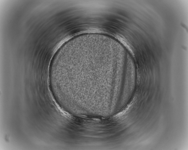 X0000097820845200804111014