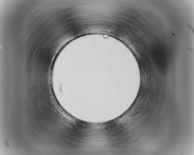 X0000097820848200804111014