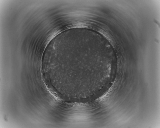 X0000097820850200804111014