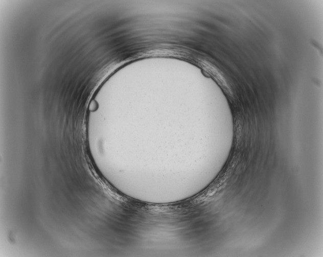 X0000097820852200804111014