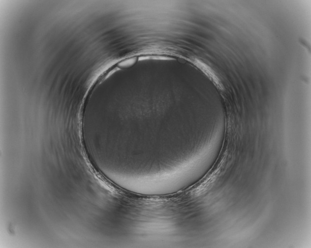 X0000097820854200804111014