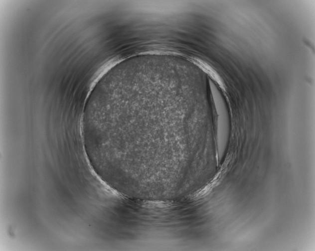 X0000097820855200804111014